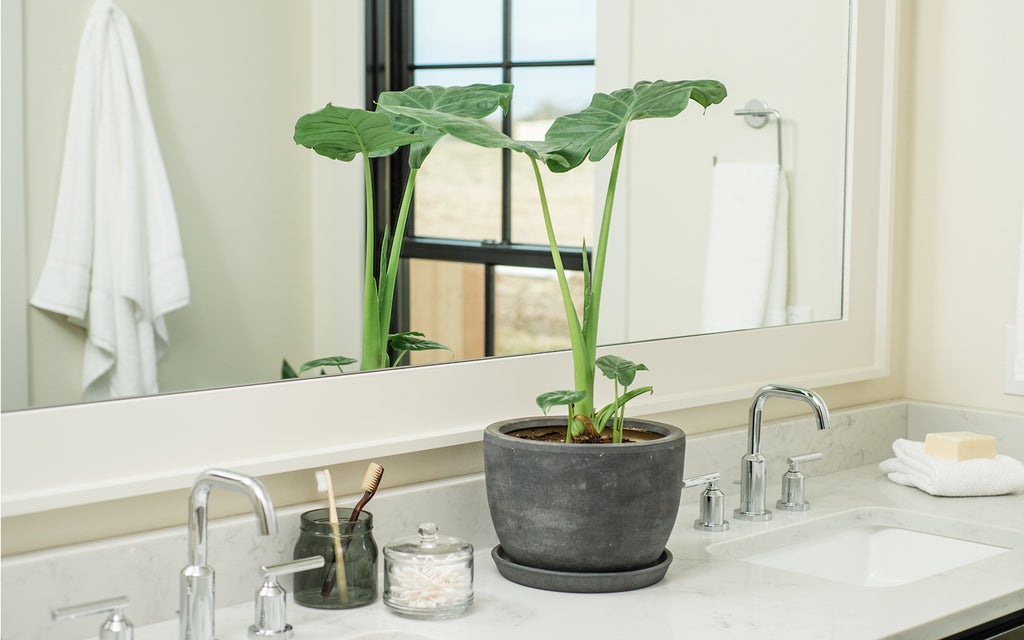 Eureka! 10 Genius Bath Upgrades That Cost Less Than $100