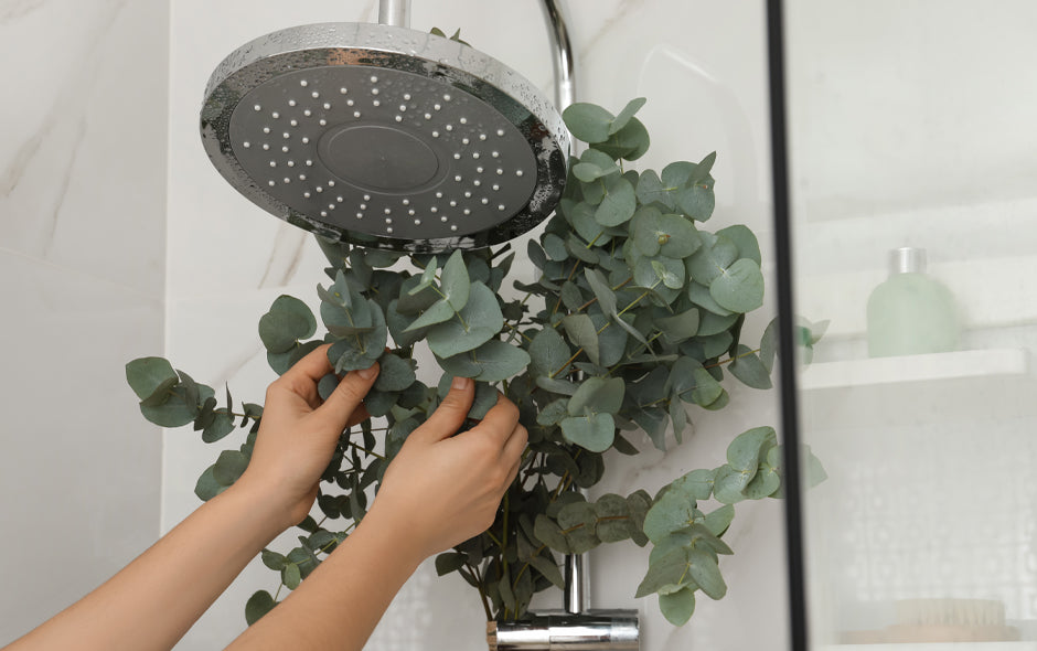 How to Keep your Bathroom Odour-Free